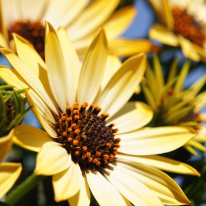 Mädchen und Jungenfreizeit im Haus des Islam DJD-Frühlingscamp