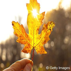 Happy Herbst © Getty Images Happy Herbst