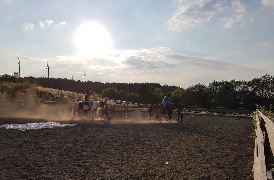 9_reiten