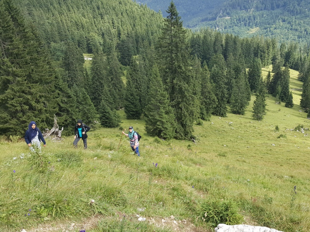Mädchen-Alpenwanderung