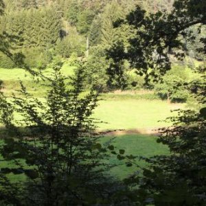 Landschaft im Odenwald